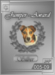 Jumper-Award