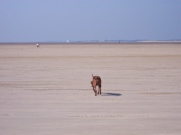 Meer Sand