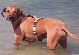 Urlaub