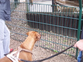 Zoobesuch
