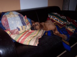 Extrem-Couching