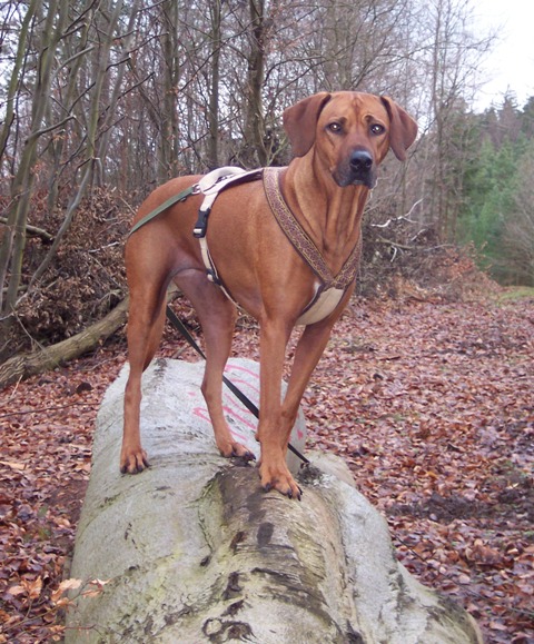 Toller Spaziergang